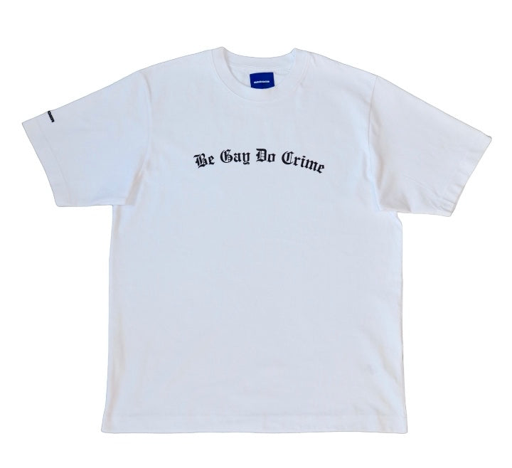 be gay do crime ts