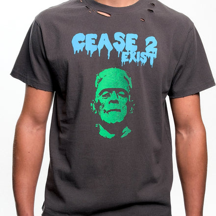 Dead or Alive TS