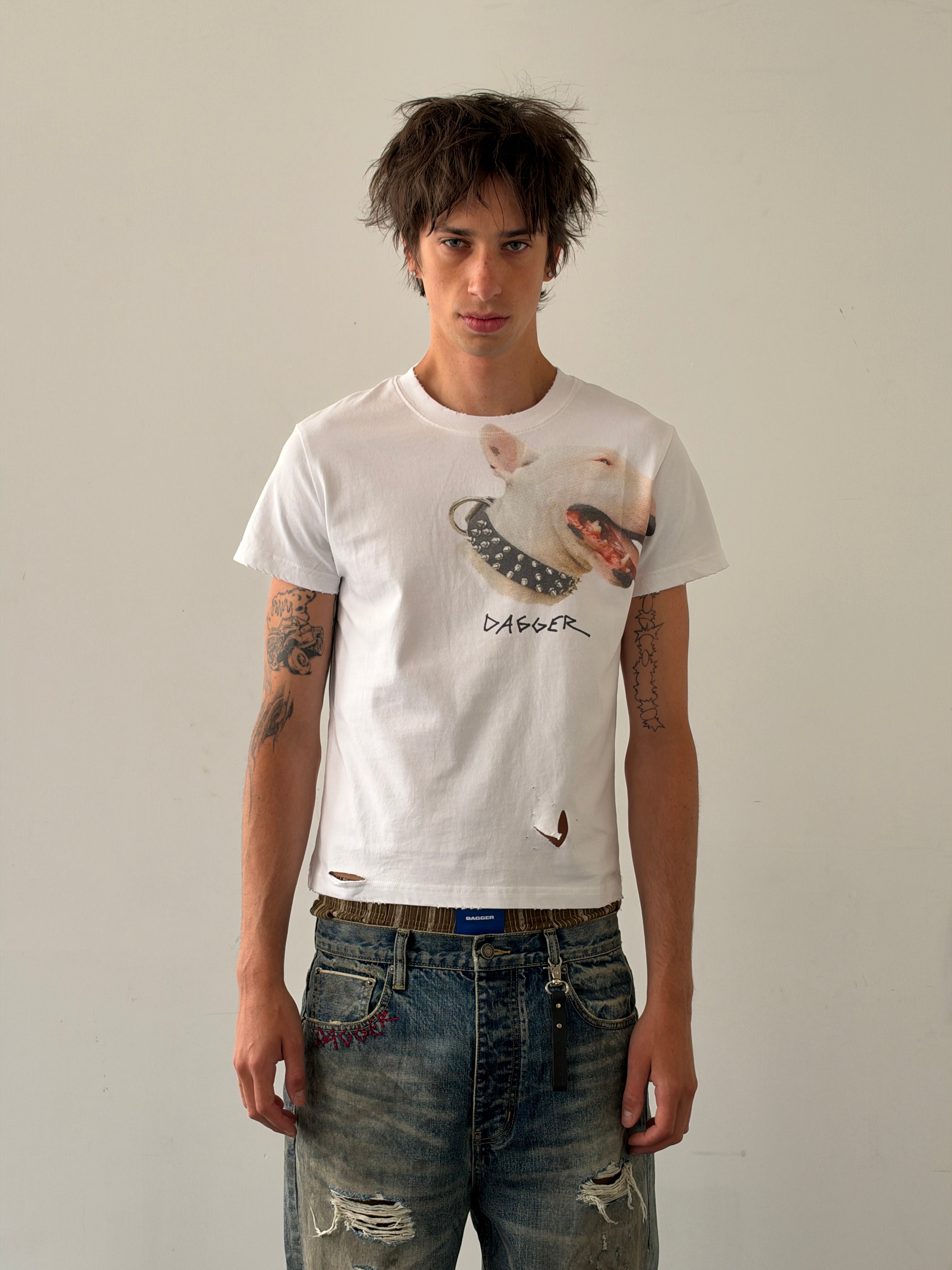 Terrier TS White