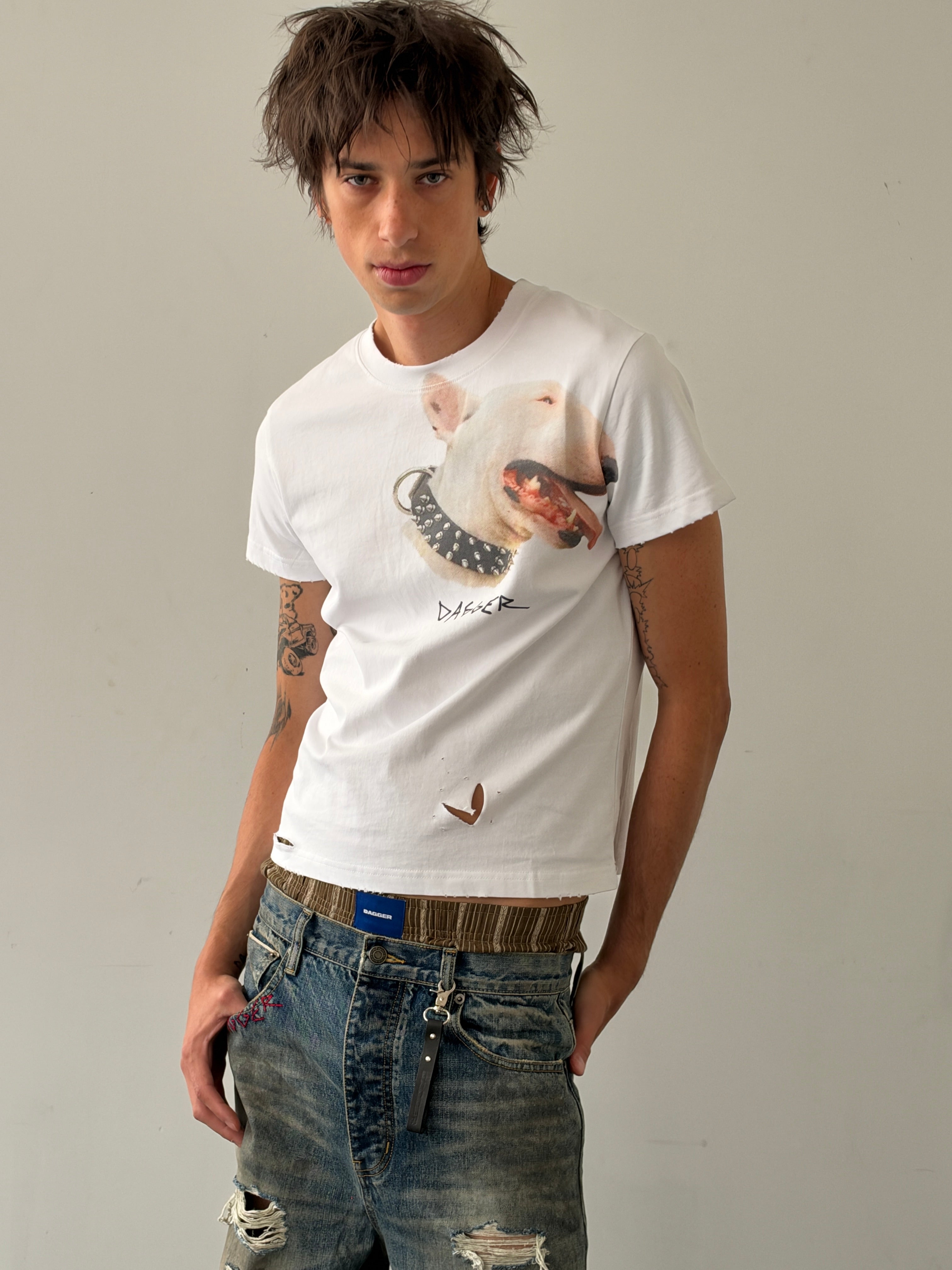 Terrier TS White