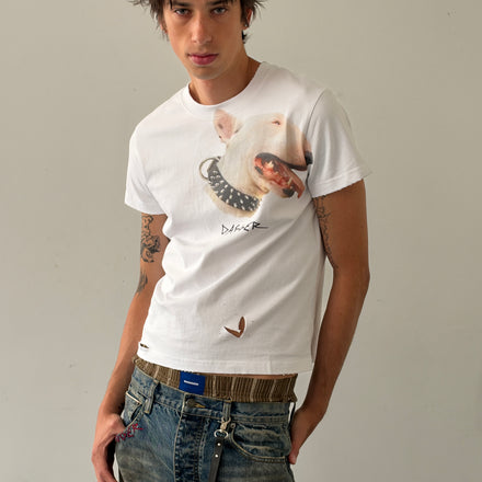 Terrier TS White