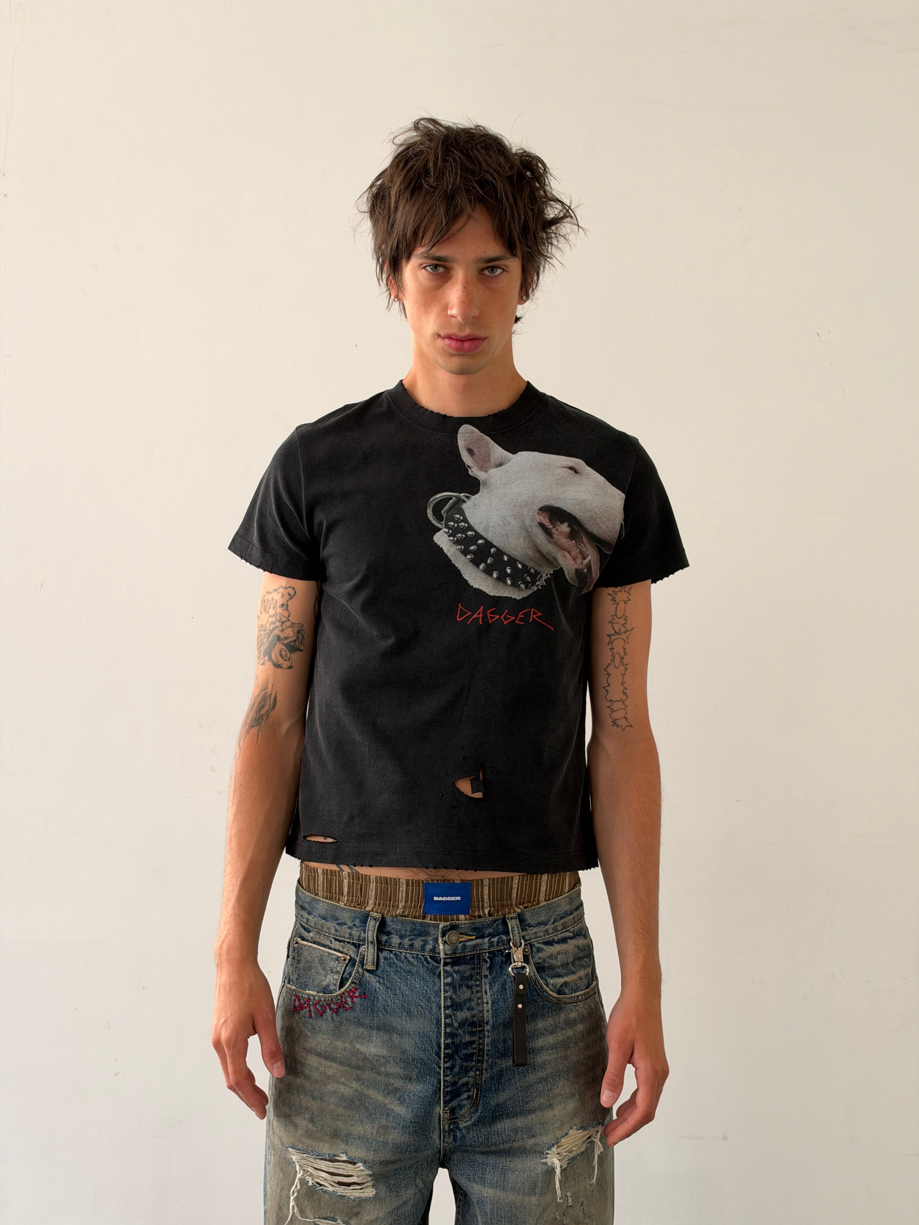 Terrier TS Black