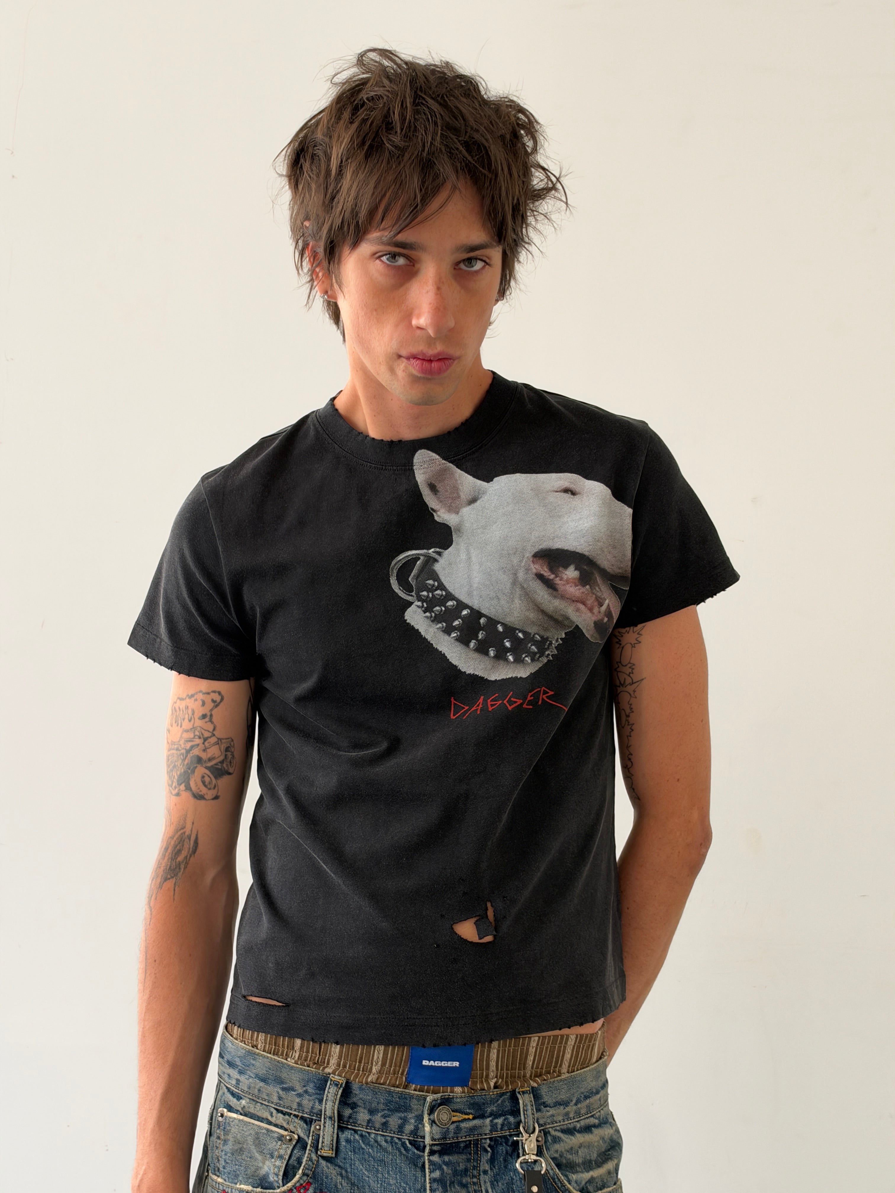 Terrier TS Black